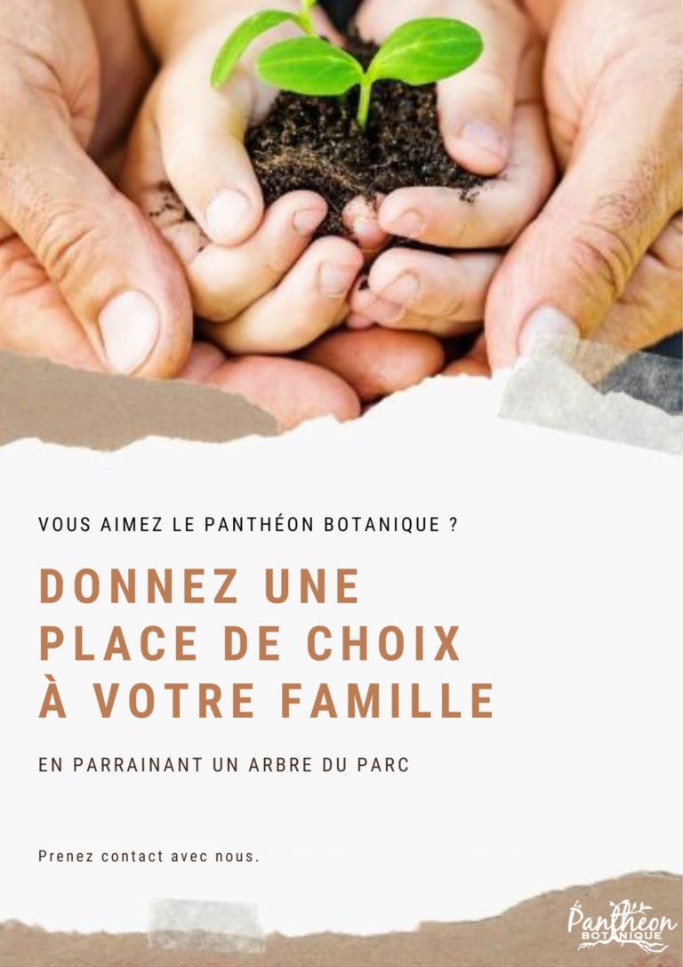 Affiche-panthéon-parrainage