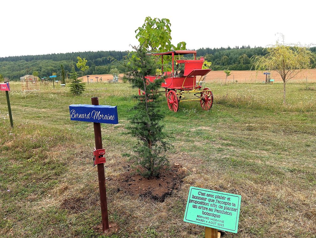 536082061_1188545629970683_4392383133526276902_n