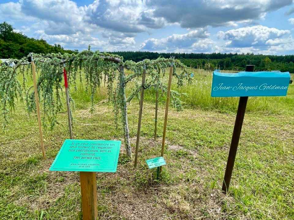 fbc73c2c-ee97-42a0-b935-04f66f4da767